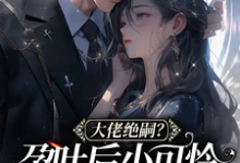 主人公黎棠棠陆迟聿小说大佬绝嗣?孕吐后小可怜一胎三宝在线章节阅读-酷悦文学