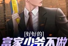 完结版《好好的富家少爷不做，要做流浪汉》章节目录在线阅读-酷悦文学