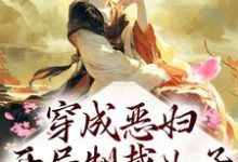 穿成恶妇，开局制裁儿子小说阅读，穿成恶妇，开局制裁儿子完结版-酷悦文学