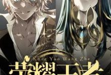 荣耀王者小说,荣耀王者在线阅读-酷悦文学