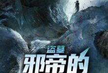 阎绛为主角的小说叫什么?免费看盗墓:邪帝的背后灵-酷悦文学