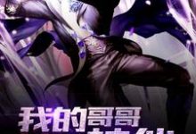 小说《我的哥哥是神仙》章节免费阅读-酷悦文学