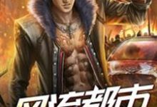 风流都市之盗帅免费阅读，风流都市之盗帅魏羡林清雨叶北辰丁灵-酷悦文学