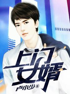 上门女婿小说，上门女婿最新章节