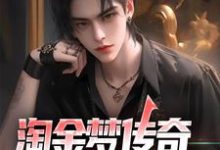 淘金梦传奇,从失业开始小说阅读,淘金梦传奇,从失业开始完结版-酷悦文学