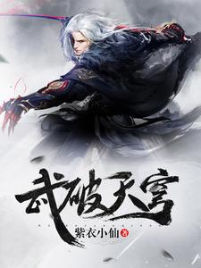 武破天穹小说阅读，武破天穹完结版