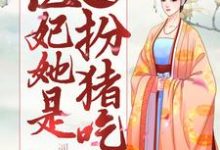 邪王独宠：医妃她是扮猪吃虎免费阅读，邪王独宠：医妃她是扮猪吃虎章节在线阅读-酷悦文学