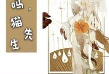 可以吗，猫先生免费阅读，可以吗，猫先生章节在线阅读-酷悦文学