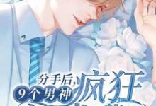 分手后，9个男神疯狂追求我这本小说怎么样？免费在线阅读试试-酷悦文学