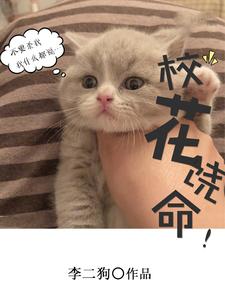 校花饶命（徐小北阮秋水徐小南）在线免费阅读