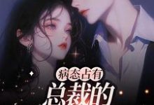 病态占有:总裁的私有宝贝小说有没有完整的免费版本在线阅读?-酷悦文学