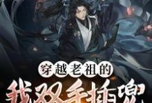 求穿越老祖的我双手插兜，没有对手小说免费资源-酷悦文学