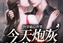 快穿霸总世界：今天炮灰逆袭了吗王明月徐朝朝小说大结局免费试读-酷悦文学