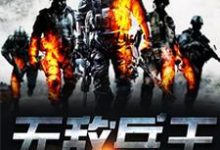 唐龙谭维方仲海是哪本书的主角？无敌兵王免费读-酷悦文学