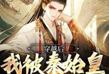 主角宋坤嬴政小说完结版在线阅读，穿越后，我被秦始皇他妈告白了免费看-酷悦文学