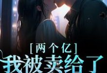两个亿，我被卖给了陌生男人小说的最新章节在哪里更新？免费追踪阅读-酷悦文学