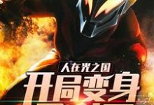 贝利亚玛丽小说《人在光之国:开局变身贝利亚》在线阅读-酷悦文学