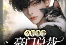 久别重逢:豪门总裁又野又痞小说,久别重逢:豪门总裁又野又痞在线阅读-酷悦文学