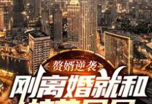 赘婿逆袭：刚离婚就和校花同居最新章节，赘婿逆袭：刚离婚就和校花同居免费阅读-酷悦文学