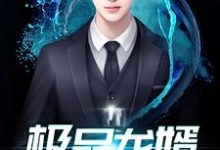 极品龙婿免费阅读，极品龙婿龙辰楚婉柔白玉研楚清河-酷悦文学