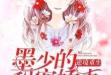 《逆境重生：墨少的甜宠娇妻》小说章节列表免费试读，林墨沫盛傲天小说在线阅读-酷悦文学