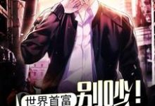 马林是哪本书的主角?世界首富:别吵!忙着亏钱!免费读-酷悦文学