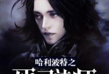 哈利波特之死灵法师小说的最新章节在哪里更新?免费追踪阅读-酷悦文学