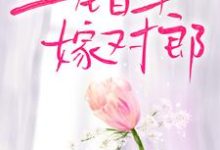 上错车,嫁对郎最新章节,上错车,嫁对郎章节在线阅读-酷悦文学