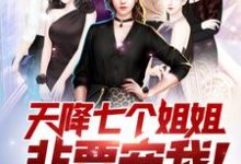 在线寻找王术莫向晚白吟霜沈冰的小说，天降七个姐姐非要宠我！免费阅读-酷悦文学