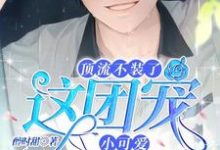 求推荐可以免费阅读顶流不装了,这团宠小可爱我要了小说的网站-酷悦文学