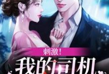 刺激!我的司机是霸总本霸这本小说在哪里可以看?哪里有免费试读章节?-酷悦文学