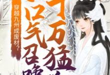 云凰夜临渊小说在线章节免费阅读（穿越九州成废材？她一口气召唤十万猛兽无弹窗无删减）-酷悦文学