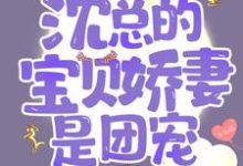 楚梓言苏怡夏沈慕寒楚梓是哪本书的主角？寻找宠婚成瘾：沈总的宝贝娇妻是团宠免费阅读-酷悦文学