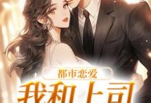 在线寻找都市恋爱:我和上司he了小说的无删减版本-酷悦文学