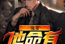 鬼妻：他命有红源免费阅读，鬼妻：他命有红源韩九坤殷霜-酷悦文学