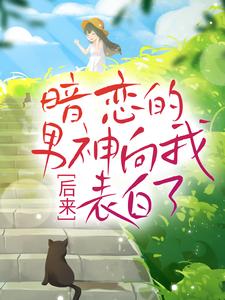 沈清林承洲小说《后来，暗恋的男神向我表白了》在线阅读