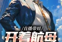 完结版《直播带娃,开着航母过家家》章节阅读-酷悦文学