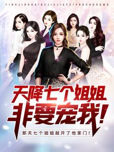 天降七个姐姐非要宠我！王术莫向晚白吟霜沈冰，天降七个姐姐非要宠我！章节在线阅读