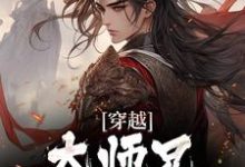 主角叫韩枫的小说在哪阅读-酷悦文学