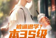 被逼退学？本3S级弓手不装了（陈启）在线免费阅读-酷悦文学