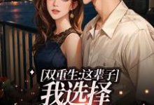 宋行敏徐骁小说在线章节免费阅读(双重生:这辈子,我选择深情校霸无弹窗无删减)-酷悦文学