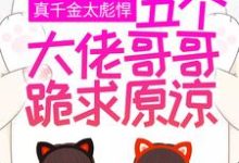 真千金太彪悍,五个大佬哥哥跪求原谅小说完结版章节免费阅读-酷悦文学