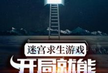 《迷宫求生游戏：开局就能看到提示》全集免费在线阅读（周晨叶诗诗）-酷悦文学