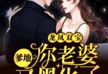 白瑶耿惜沈青青白朵朵的完整故事在哪里？读龙凤双宝：爹地，你老婆又黑化了小说-酷悦文学