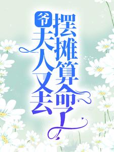 苏乔沈修瑾是哪本书的主角？寻找爷，夫人又去摆摊算命了免费阅读