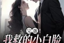 完蛋！我救的小白脸是京圈太子爷小说的无弹窗阅读体验，寻找免费阅读网站-酷悦文学