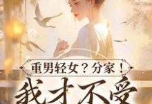 寻找能够免费阅读重男轻女？分家！ 我才不受这窝囊气小说的平台-酷悦文学