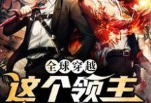 完结版《全球穿越:这个领主无敌了》在线免费阅读-酷悦文学