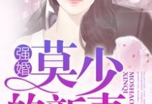 小说《强婚：莫少的新妻》在线章节阅读-酷悦文学