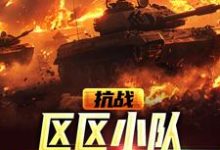 抗战：区区小队，全歼鬼子师团小说无弹窗阅读的网站推荐-酷悦文学